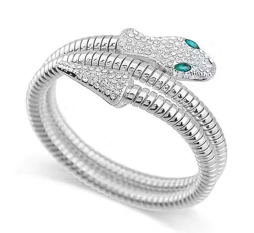 Stylish Silver Snake choker & Necklace